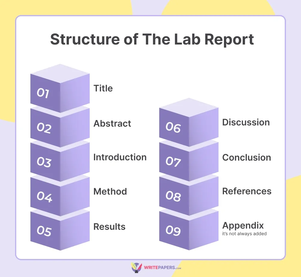 Structure of The Lab Report.webp